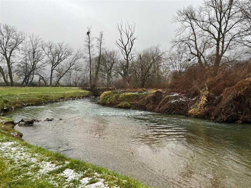 JU Zagorje zeleno: Pridružite se zimskom prebrojavanju ptica vodarica
