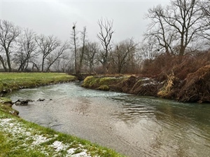 JU Zagorje zeleno: Pridružite se zimskom prebrojavanju ptica vodarica