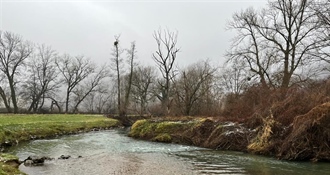 JU Zagorje zeleno: Pridružite se zimskom prebrojavanju ptica vodarica