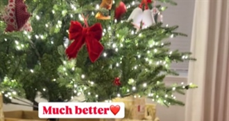 Božićna čarolija: Vole li vaši kućni ljubimci bor i ukrase, kao i ovaj pas ili ga ne podnose - kako se nosite s time?