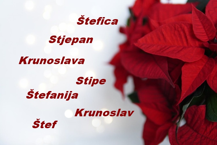 Dragi Stjepani, Štefeki, Štefice, Štefanije i Krunoslave, sretan vam imendan!