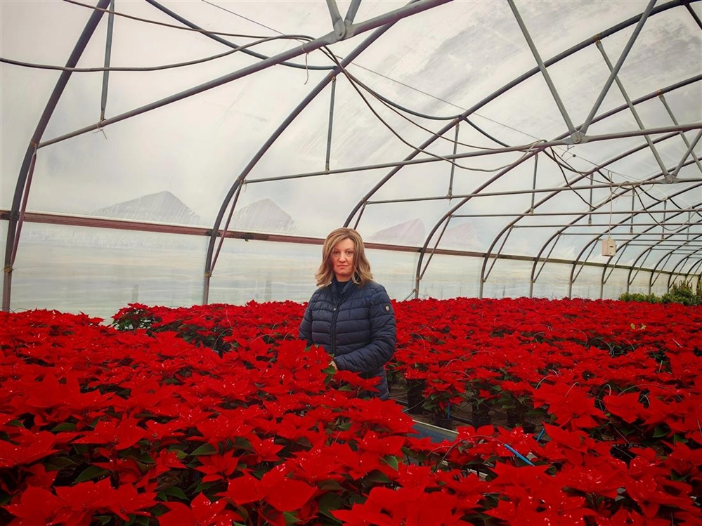 Iz Velikog Bukovca u domove diljem Lijepe naše – božićne zvijezde donijele mir i toplinu