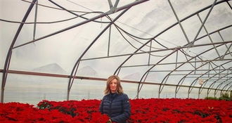 Iz Velikog Bukovca u domove diljem Lijepe naše – božićne zvijezde donijele mir i toplinu