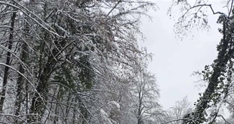 Lepoglavski vatrogasci tijekom blagdana imali 30 intervencija – nažalost jedna završila napadom na vatrogasca