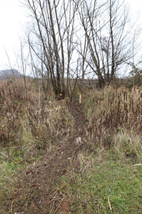 JU Zagorje zeleno: Tragovi životinja zimi