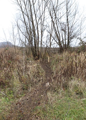 JU Zagorje zeleno: Tragovi životinja zimi