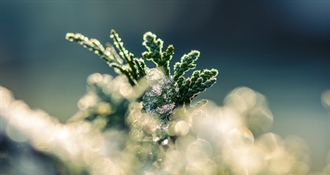 Ledeni početak godine! Bednja jutros ponovno među najhladnijima