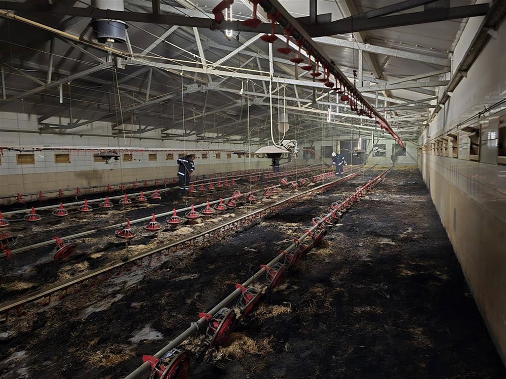 Kod Velikog Bukovca u požaru preradarnika izgorjelo više tisuća pilića