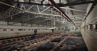 Kod Velikog Bukovca u požaru preradarnika izgorjelo više tisuća pilića