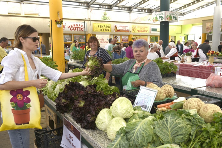 Pad poljoprivredne proizvodnje, starenje sela i zapuštena zemlja: Tko će hraniti Hrvatsku?
