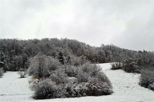 Prvi dan novog tjedna donosi oblačno i promjenjivo vrijeme