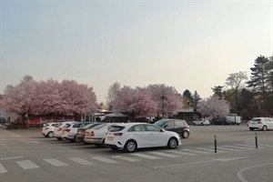 Nova pravila parkiranja u Zagrebu: Karte vrijede isključivo u kupljenoj zoni