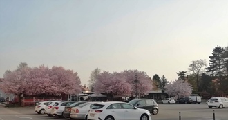 Nova pravila parkiranja u Zagrebu: Karte vrijede isključivo u kupljenoj zoni