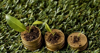 Više od 283 tisuće eura za poljoprivrednike - uskoro novi narječaj LAG-a Izvor