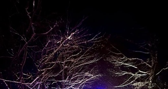 Noćna drama u zimskim uvjetima: taksist prateći navigaciju završio u šumi - izvukli ga vatrogasci