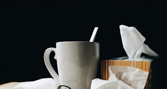 Gripa snažno zahvatila sjever: Varaždinska županija među najpogođenijima u Hrvatskoj