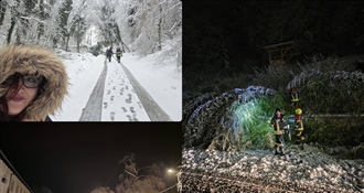 Mokri snijeg napravio kaos u Maču - srušena brojna stabla, službe na terenu od 4 ujutro