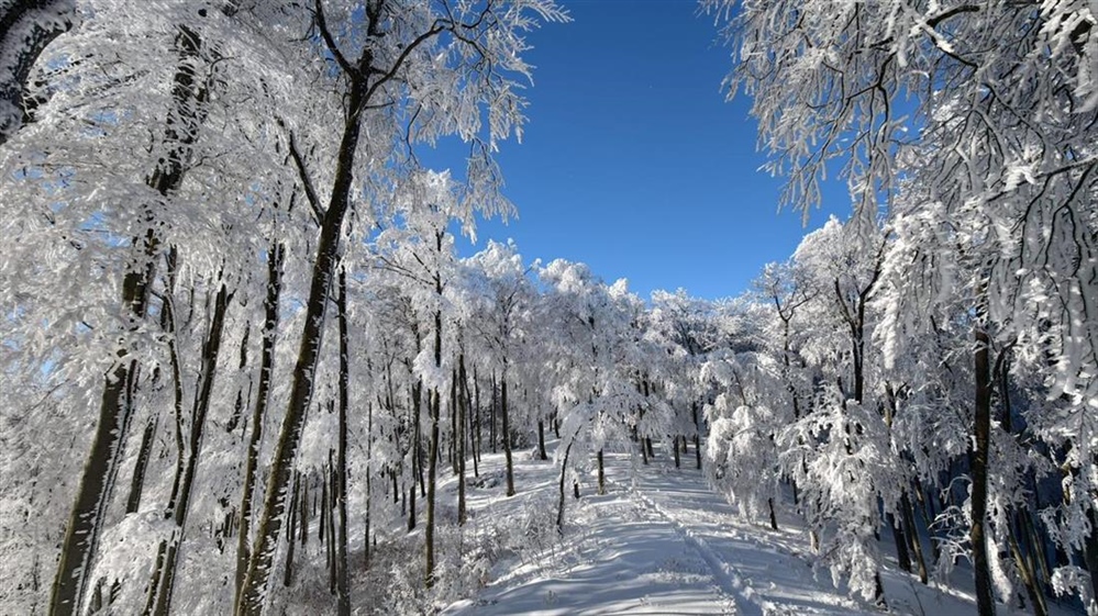 Bijeli pokrivač donio poseban ugođaj Ravnoj gori i Ivančici