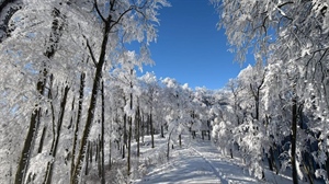 Bijeli pokrivač donio poseban ugođaj Ravnoj gori i Ivančici