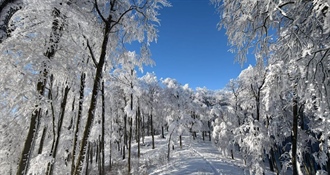 Bijeli pokrivač donio poseban ugođaj Ravnoj gori i Ivančici