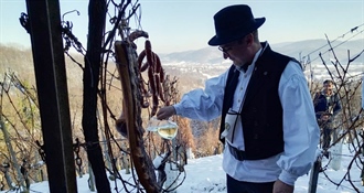 Vincekovo i ove godine u Varaždinskim Toplicama - kreće početak nove vinogradarske godine