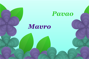 Njihov je dan, čestitamo im imendan!