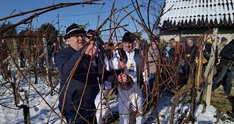 VINCEKOVO Martijanec obilježava početak nove vinogradarske godine