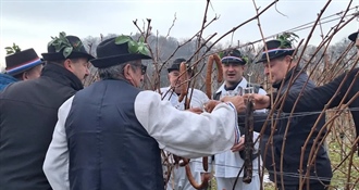 Ove nedjelje u Globočecu - Vincekovo u organizaciji Udruge vinogradara Trsek Ludbreg