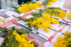 U subotu se obilježava Dan mimoza u Koprivnici, Križevcima, Đurđevcu i Virju