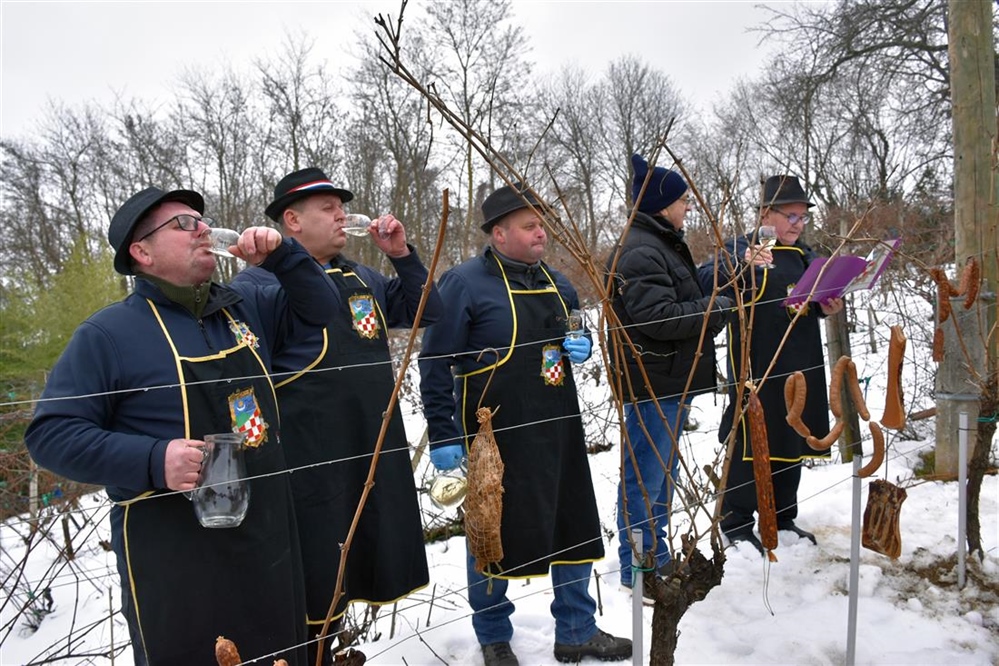 Ludbreg: kod najvećeg kipa svetog Vinka svečano obilježeno Vincekovo