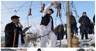 Vincekovi pohodi oživjeli međimurske brege i privukli brojne sudionike - nastavljaju se ove subote