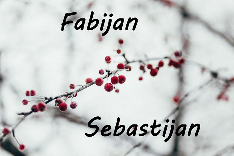 Današnji slavljenici su Sebastijan i Fabijan – ne zaboravite im čestitati!