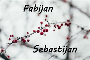 Današnji slavljenici su Sebastijan i Fabijan – ne zaboravite im čestitati!