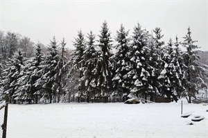 Na snazi meteoalarm zbog hladnoće: poznato kada bi mogao pasti novi snijeg