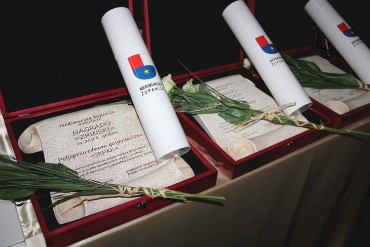 Međimurska županija nagrađuje izvrsnost: Natječaj za Nagradu "Zrinski" otvoren do 28. veljače