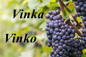 Danas je Vincekovo – sretan imendan osobama koje nose ime Vinko i Vinka!