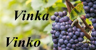 Danas je Vincekovo – sretan imendan osobama koje nose ime Vinko i Vinka!
