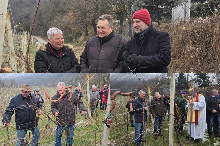Proslavljeno “Vincekovo h Klanjcu“: Blagoslovom, rezidbom, veseljem i dobrom kapljicom započela nova vinogradarska godina
