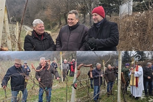 Proslavljeno “Vincekovo h Klanjcu“: Blagoslovom, rezidbom, veseljem i dobrom kapljicom započela nova vinogradarska godina