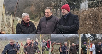 Proslavljeno “Vincekovo h Klanjcu“: Blagoslovom, rezidbom, veseljem i dobrom kapljicom započela nova vinogradarska godina