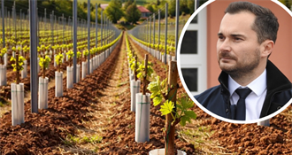 Općina Martijanec sufinancira nabavu loznih cijepova - evo detalja