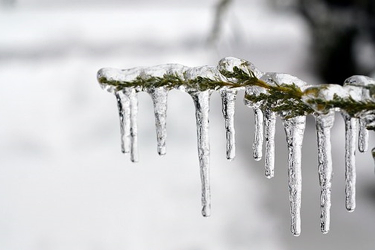 Oblačno s kišom i mogućim pljuskovima, ujutro magla i poledica