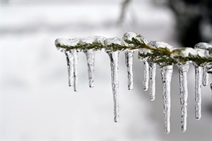 Oblačno s kišom i mogućim pljuskovima, ujutro magla i poledica