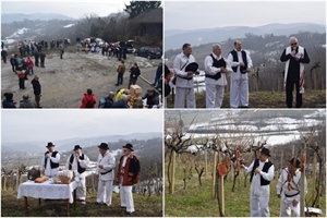 Uz običaje, glazbu i blagoslov vinograda obilježeno Vincekovo u Mariji Bistrici