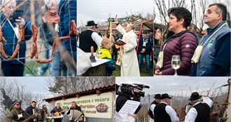 Brojni vinogradari, građani i gosti na blagoslovu vinograda, molitvi i ceremonijalnoj rezidbi na bregu Višograd