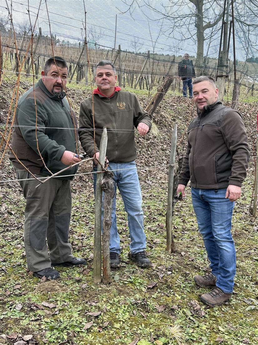 Stari običaji, nova vinogradarska godina: Vincekovo u Kumrovcu u znaku zajedništva