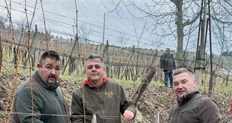 Stari običaji, nova vinogradarska godina: Vincekovo u Kumrovcu u znaku zajedništva