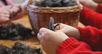 Ove subote u Bedekovčini „Čeheraj“, a uz stari običaj čehanja perja očekuje vas i dobro druženje