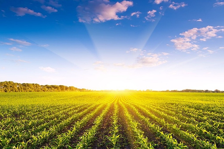 Varaždinske Toplice: Zbog velikog interesa organizira se dodatna radionica za prijavitelje na natječaj LAG-a Izvor