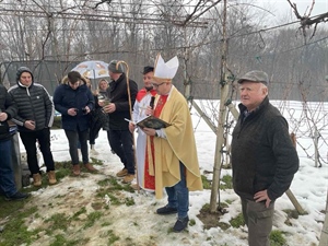I u općini Jalžabet obilježeno tradicionalno Vincekovo – vinogradari zaželjeli rodnu godinu